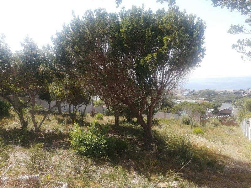 0 Bedroom Property for Sale in Tergniet Western Cape